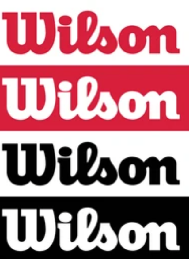 Avatar for Wilson's Inc.