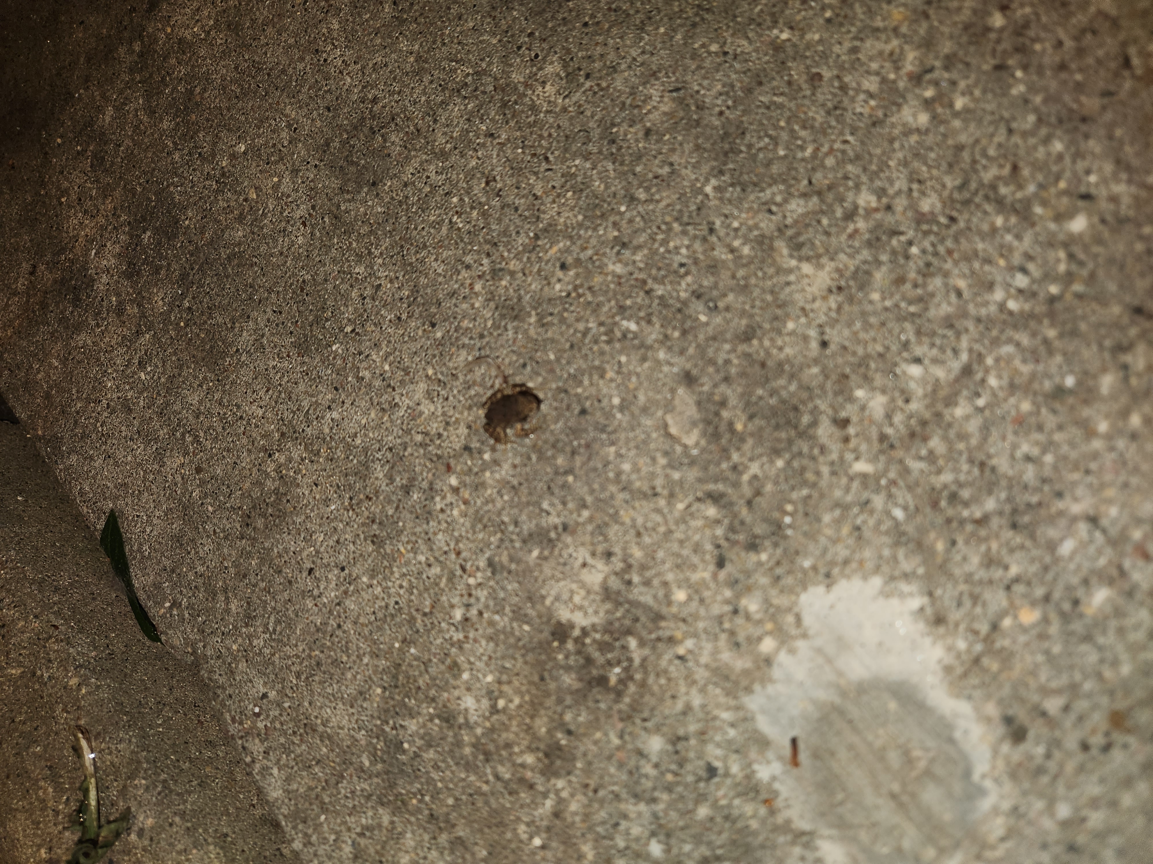 Avatar for Eise Construction