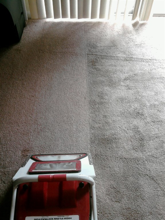 Carpet Cleanin PCS