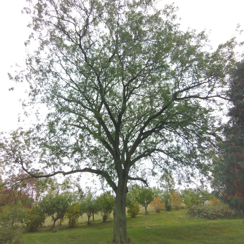 Avatar for IN&OUT Property Maintenance & Design