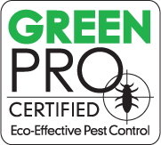 Avatar for Braman Termite & Pest Elimination