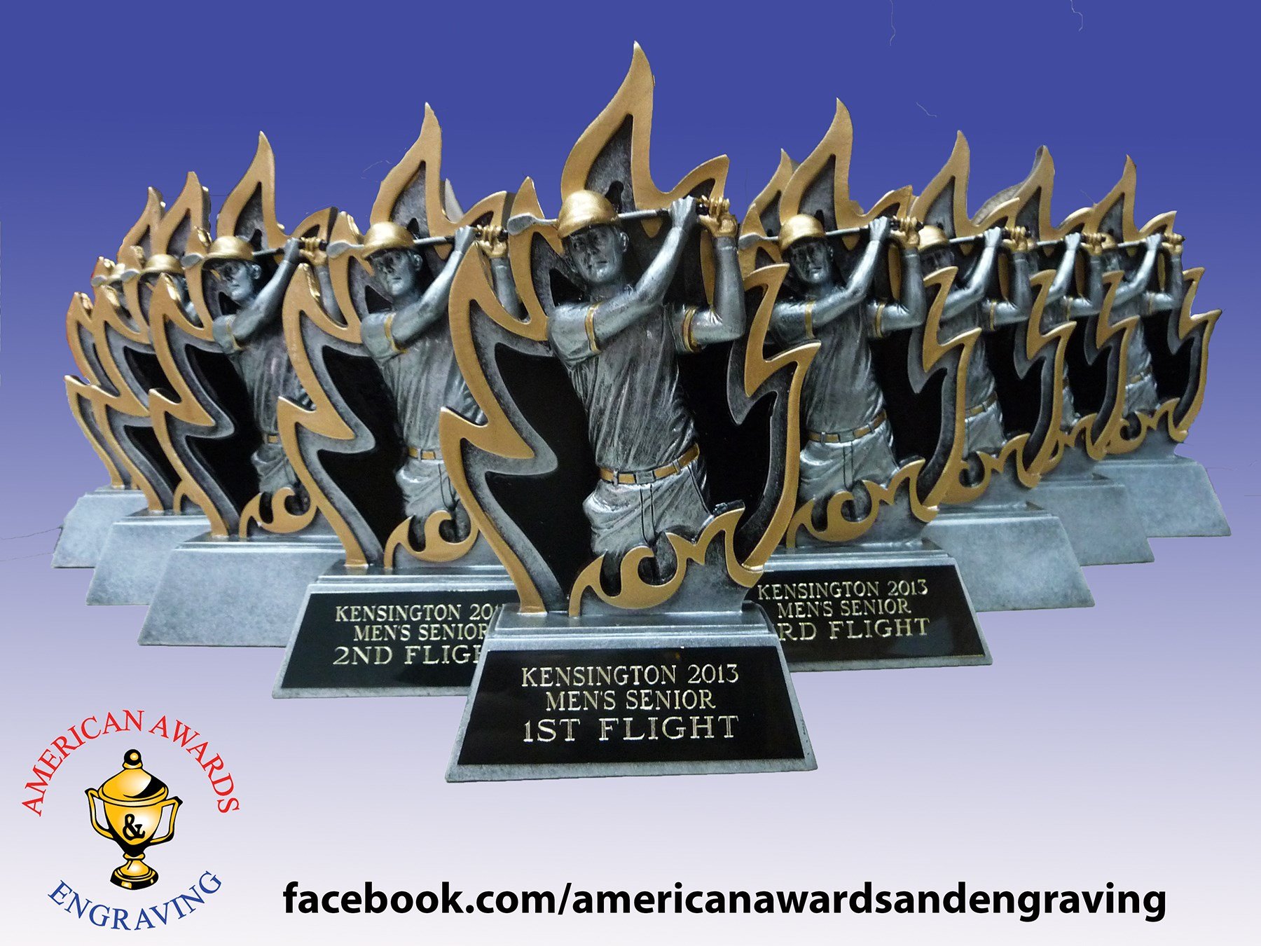 Avatar for AMERICAN AWARDS & ENGRAVING