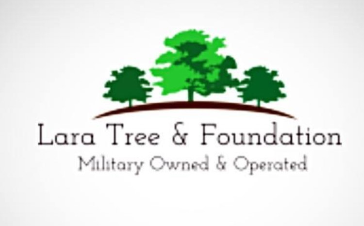 Avatar for Lara Tree And Foundation, LLC