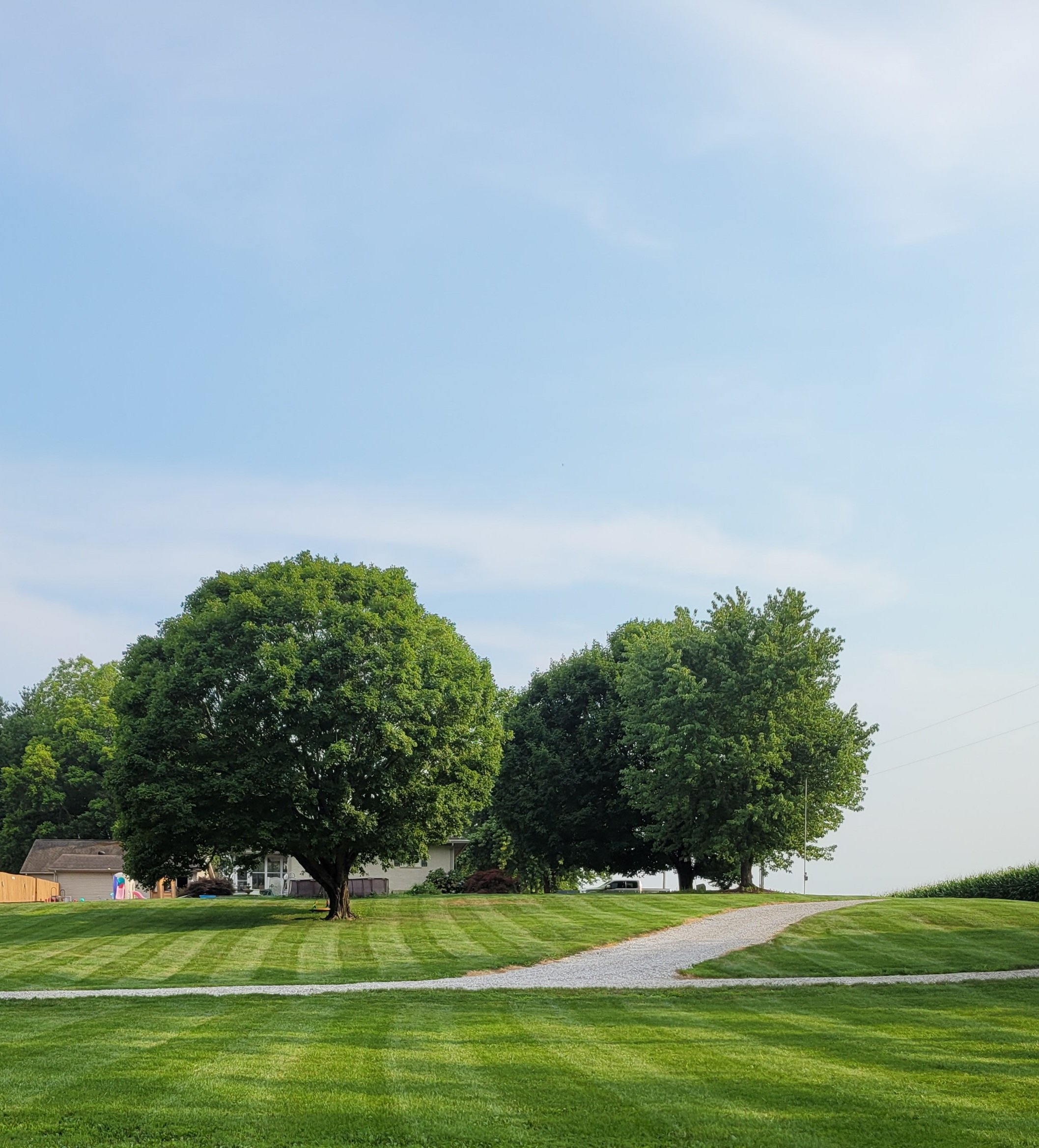 Avatar for Yard Party Lawn Care LLC