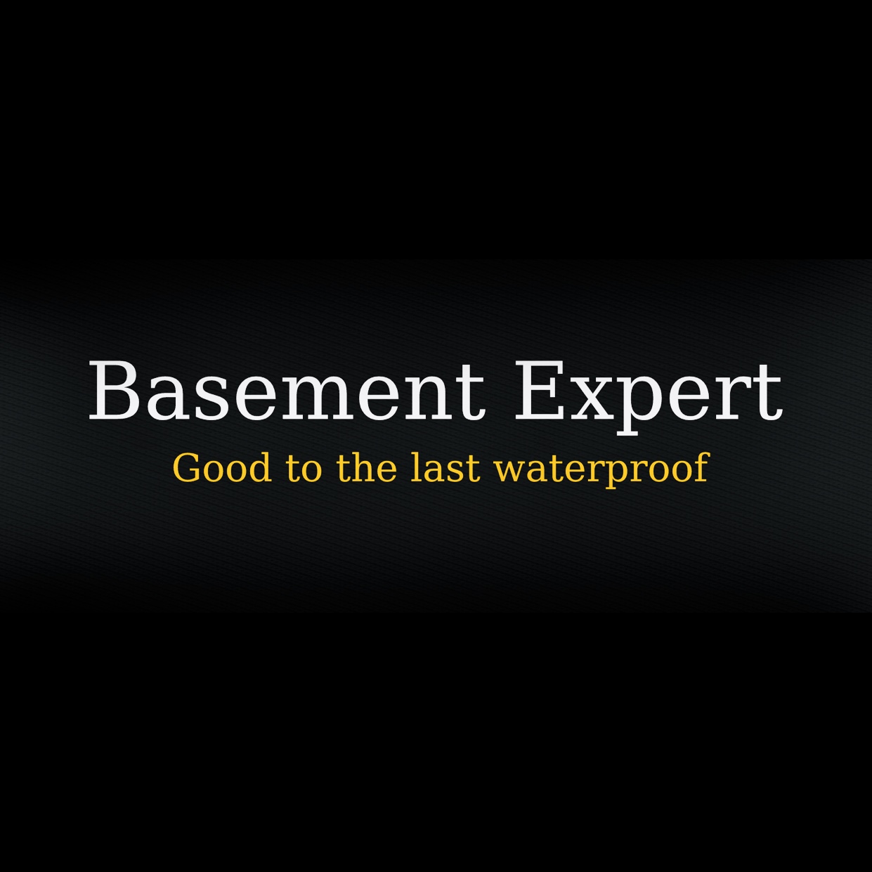 Avatar for Basement Expert