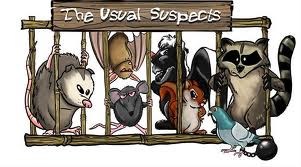 Avatar for FERS Incorporated Wildlife Trappers