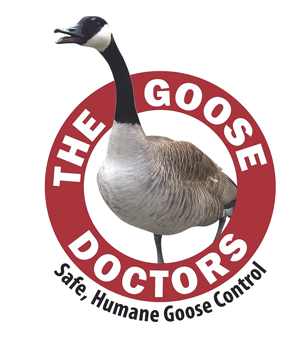 Avatar for The Goose Doctors