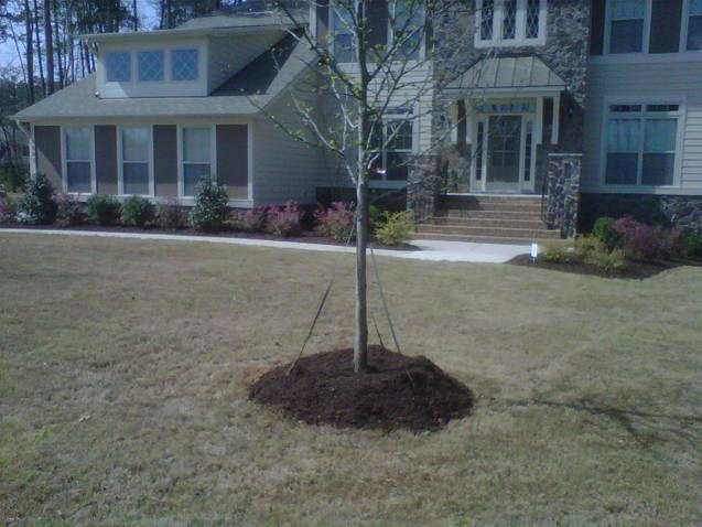 Logo for Lawn & Order Landscaping