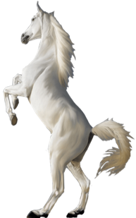 Avatar for WHITE HORSE CONSTRUCTION