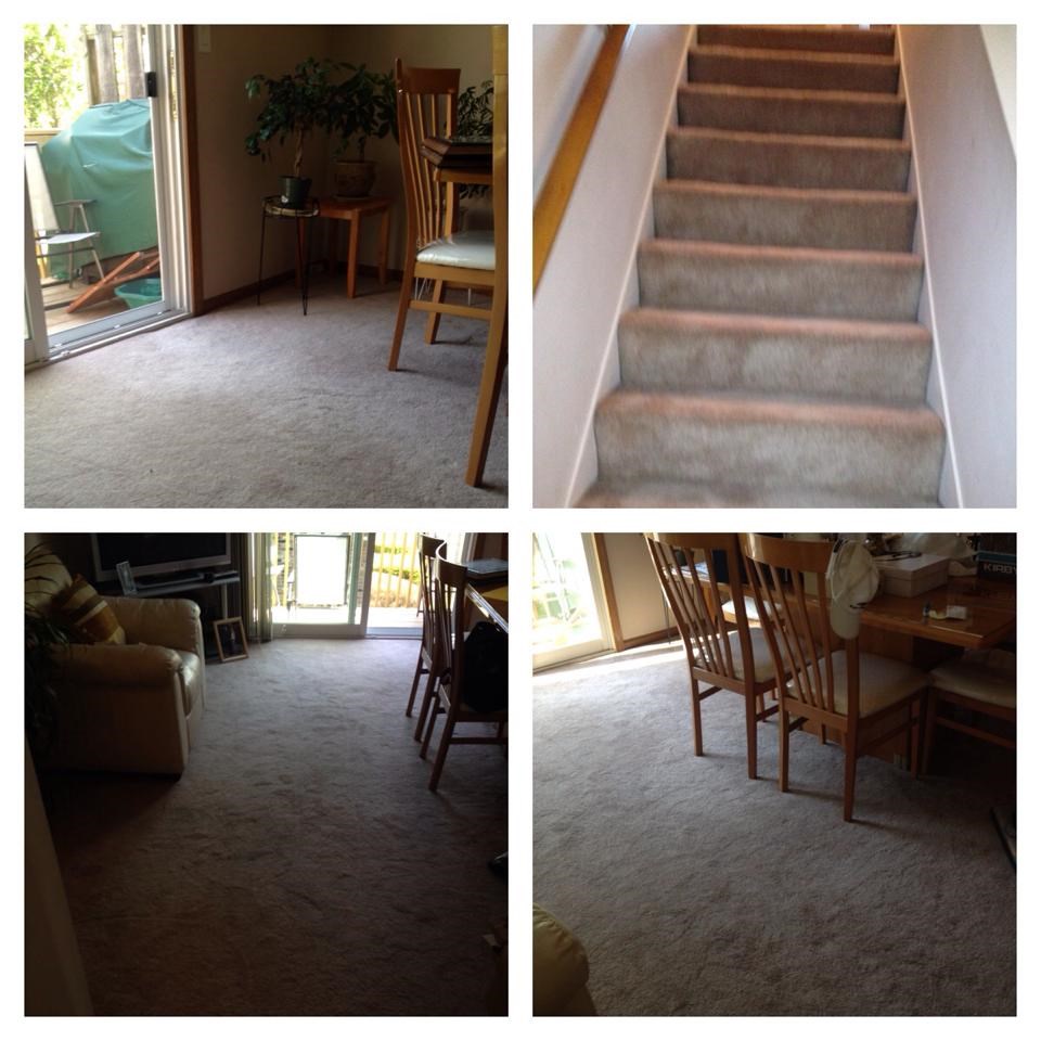 Avatar for get it done right cleaning service