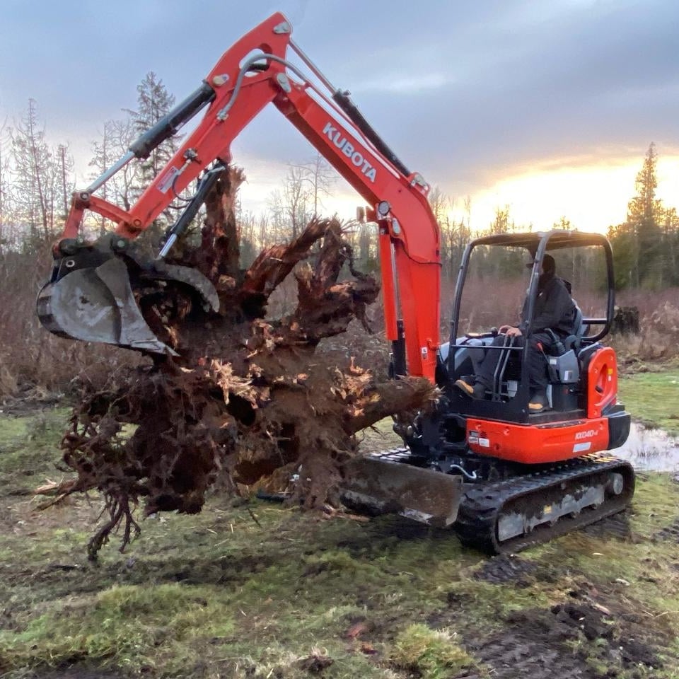 Avatar for Denali Services Inc.