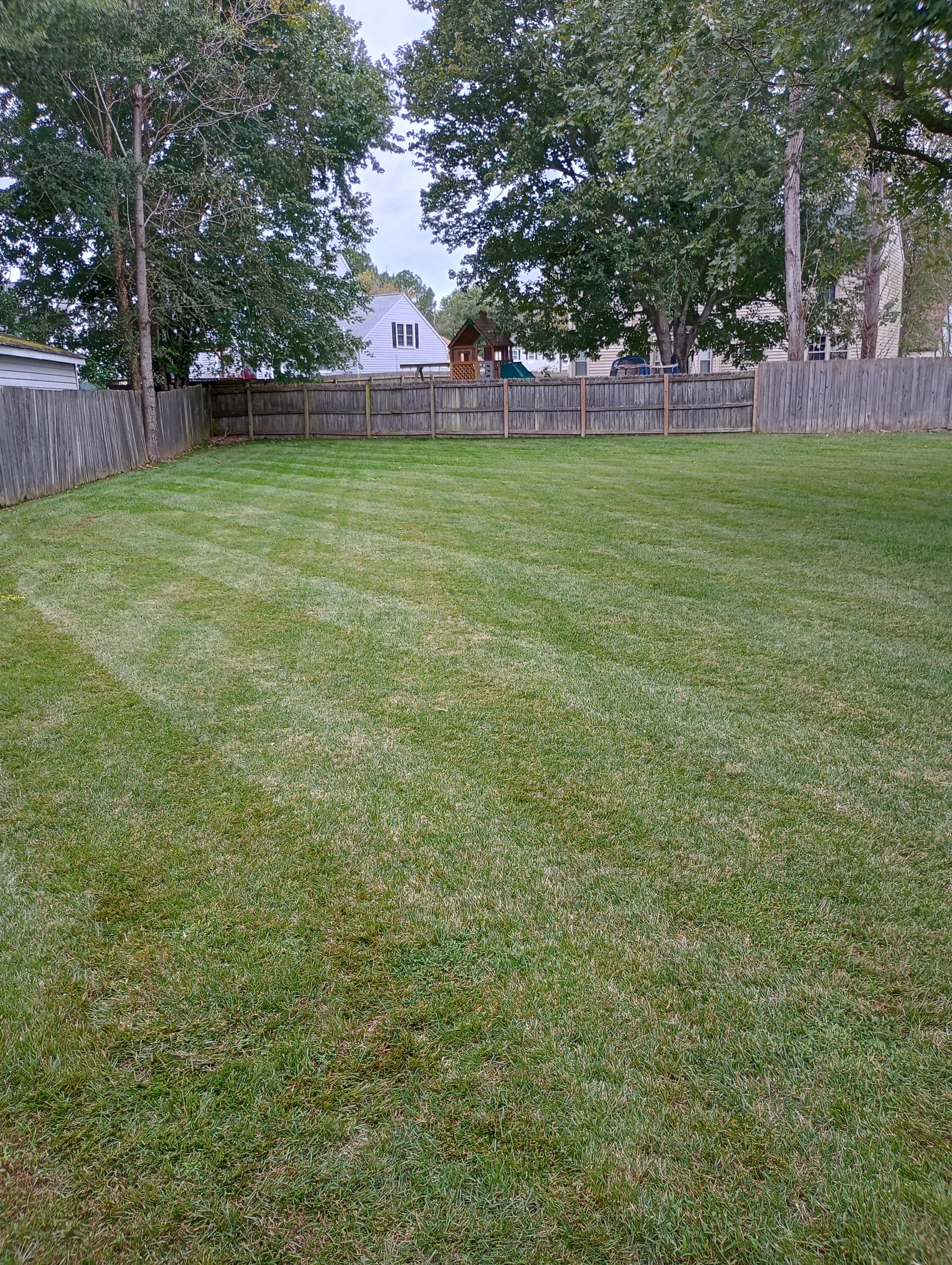 Avatar for Valeria Landscaping