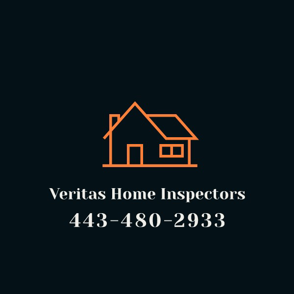 Avatar for Veritas Home Inspectors