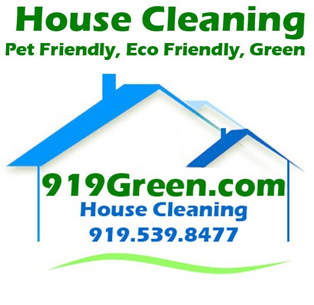 919Green Cleaning LLC logo