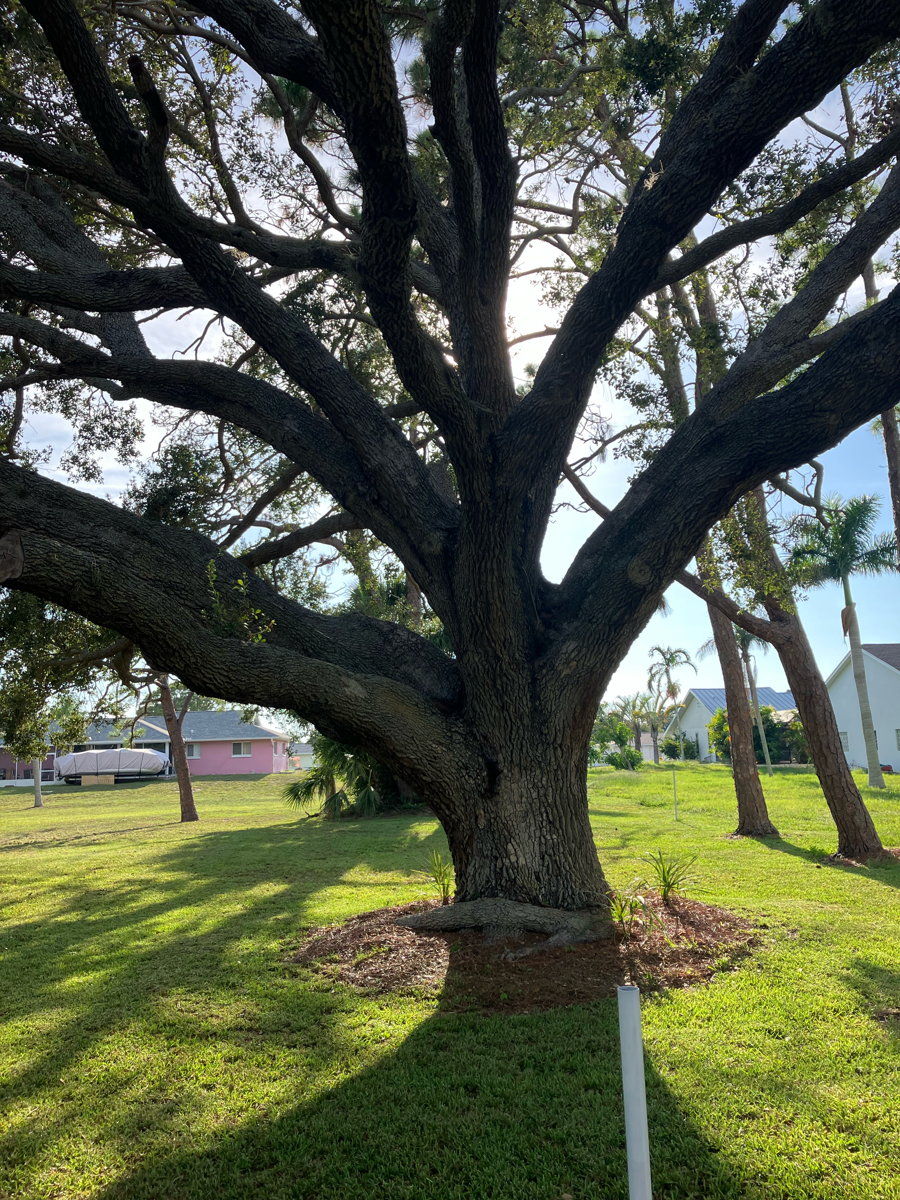 Avatar for Kevin Chizuk