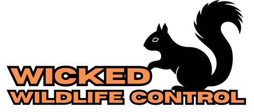 Avatar for Wicked Wildlife Control