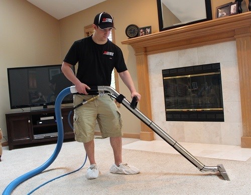 Avatar for Curio Carpet Cleaning