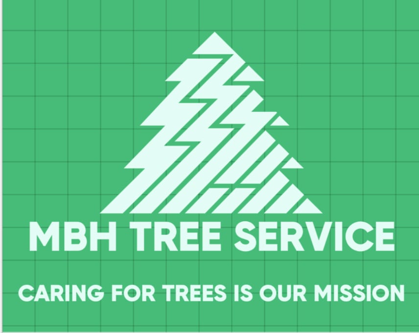 Avatar for MBH Tree service