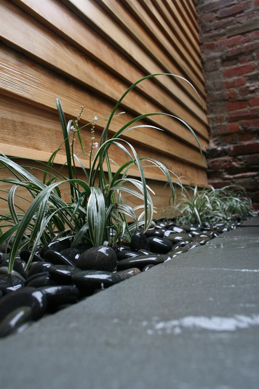 Courtyard Installation