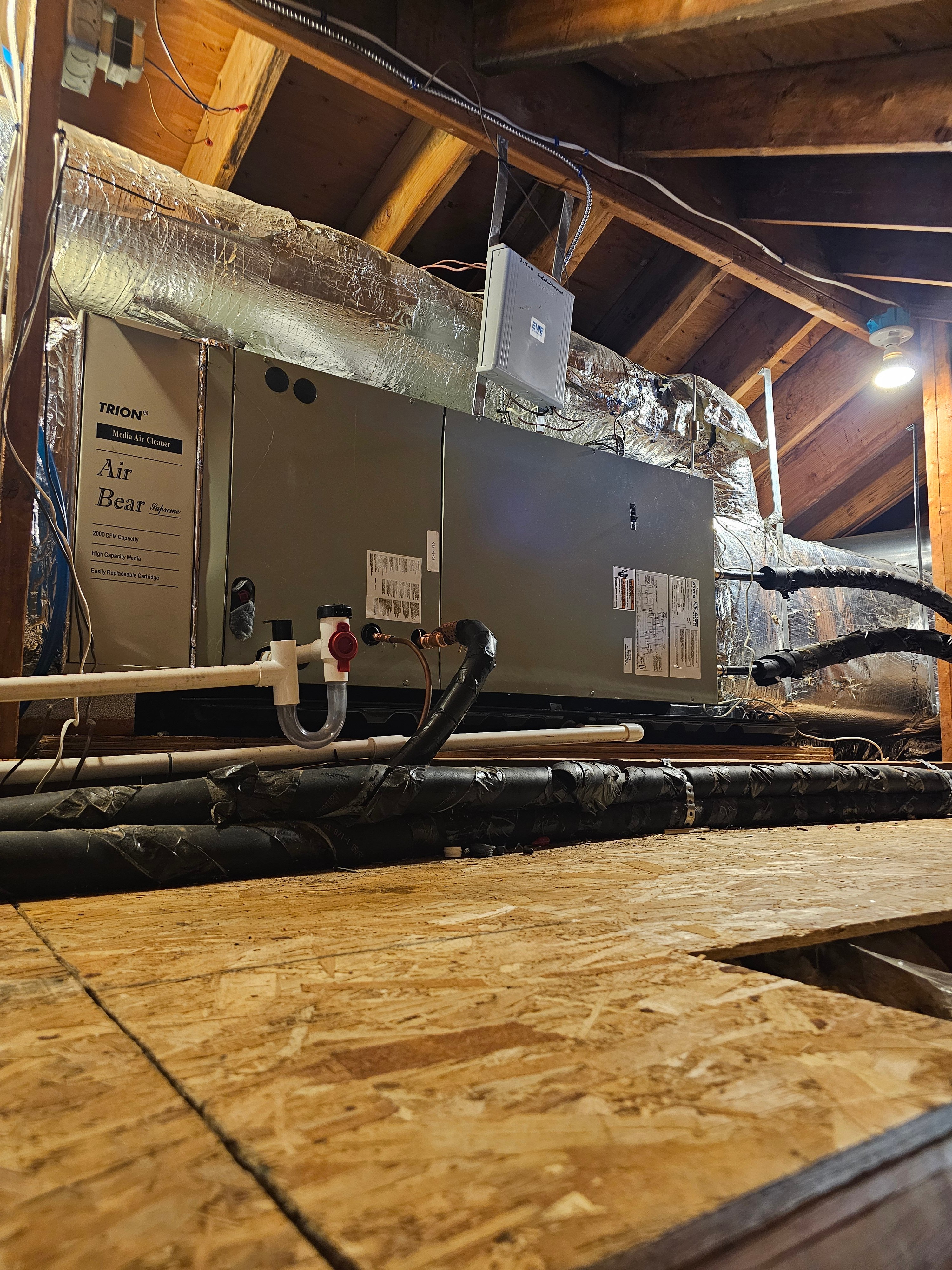 Avatar for Vierra air