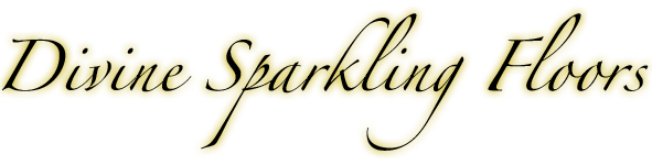 Divine Sparkling Floor logo