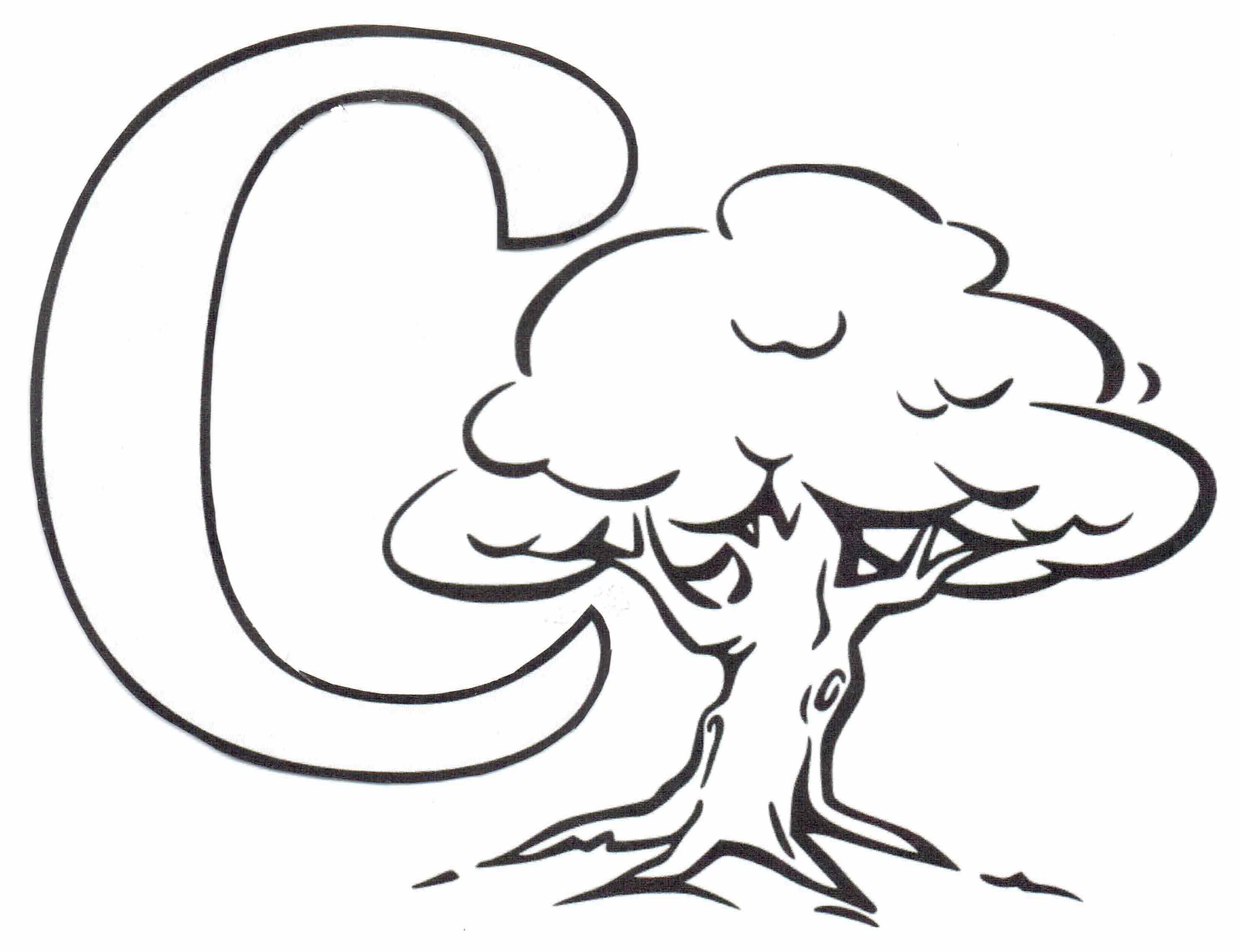 Cutter Oaks Construction Services, LLC logo
