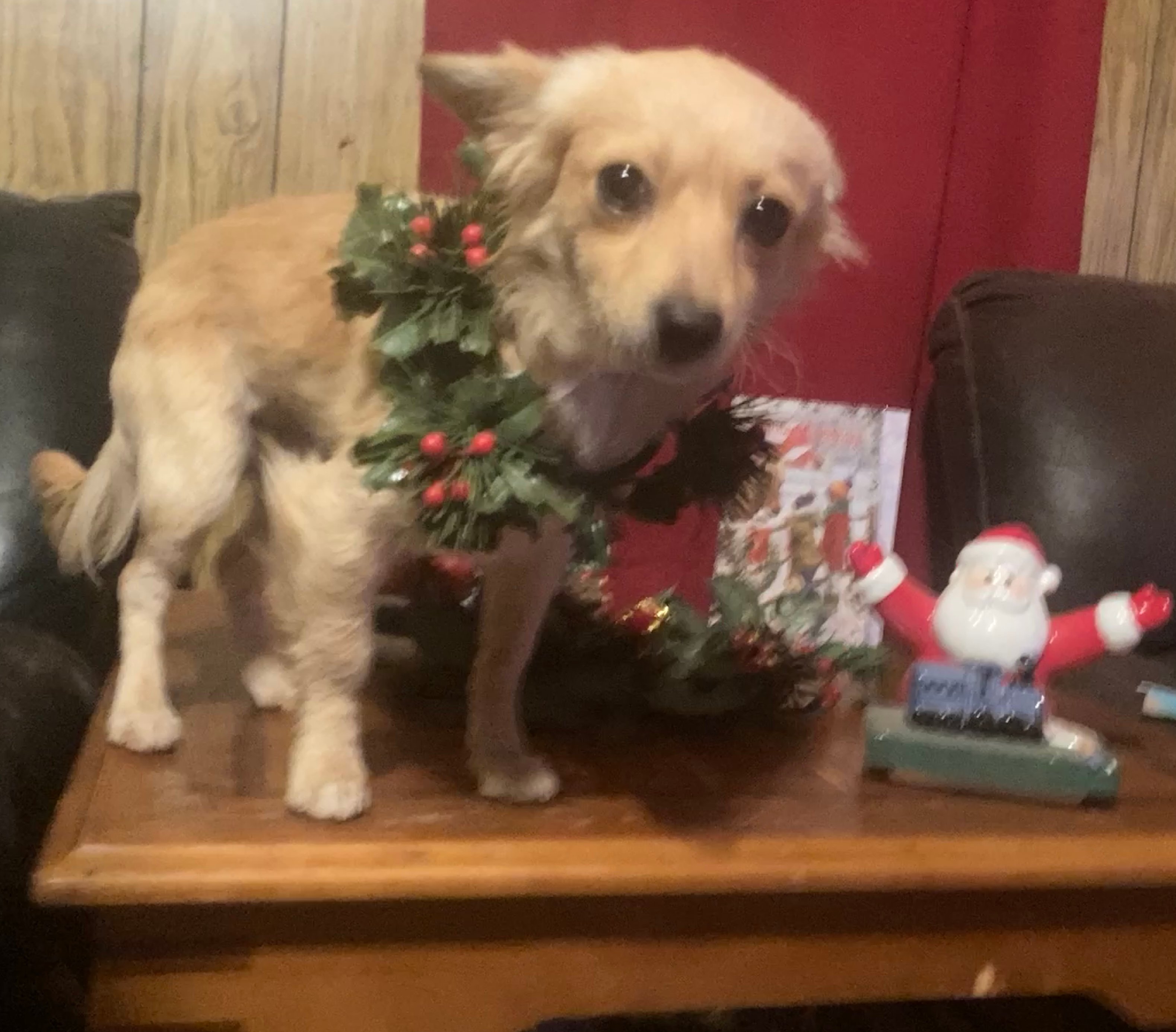 Avatar for The Balladeers Fix All Shop