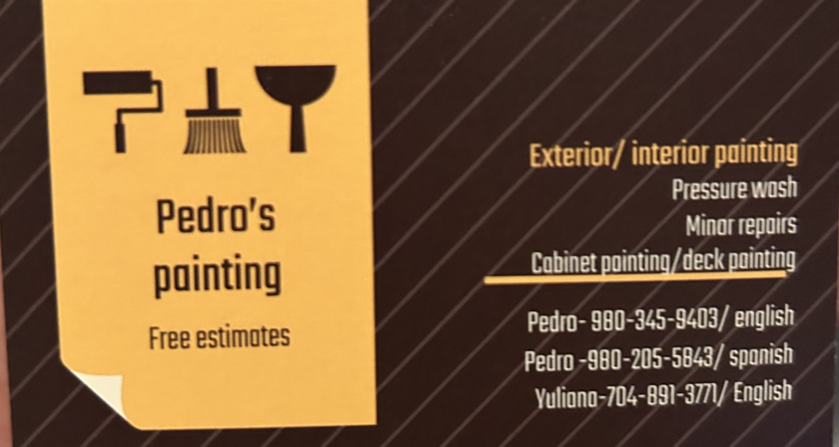 Avatar for Pedro’s Painting