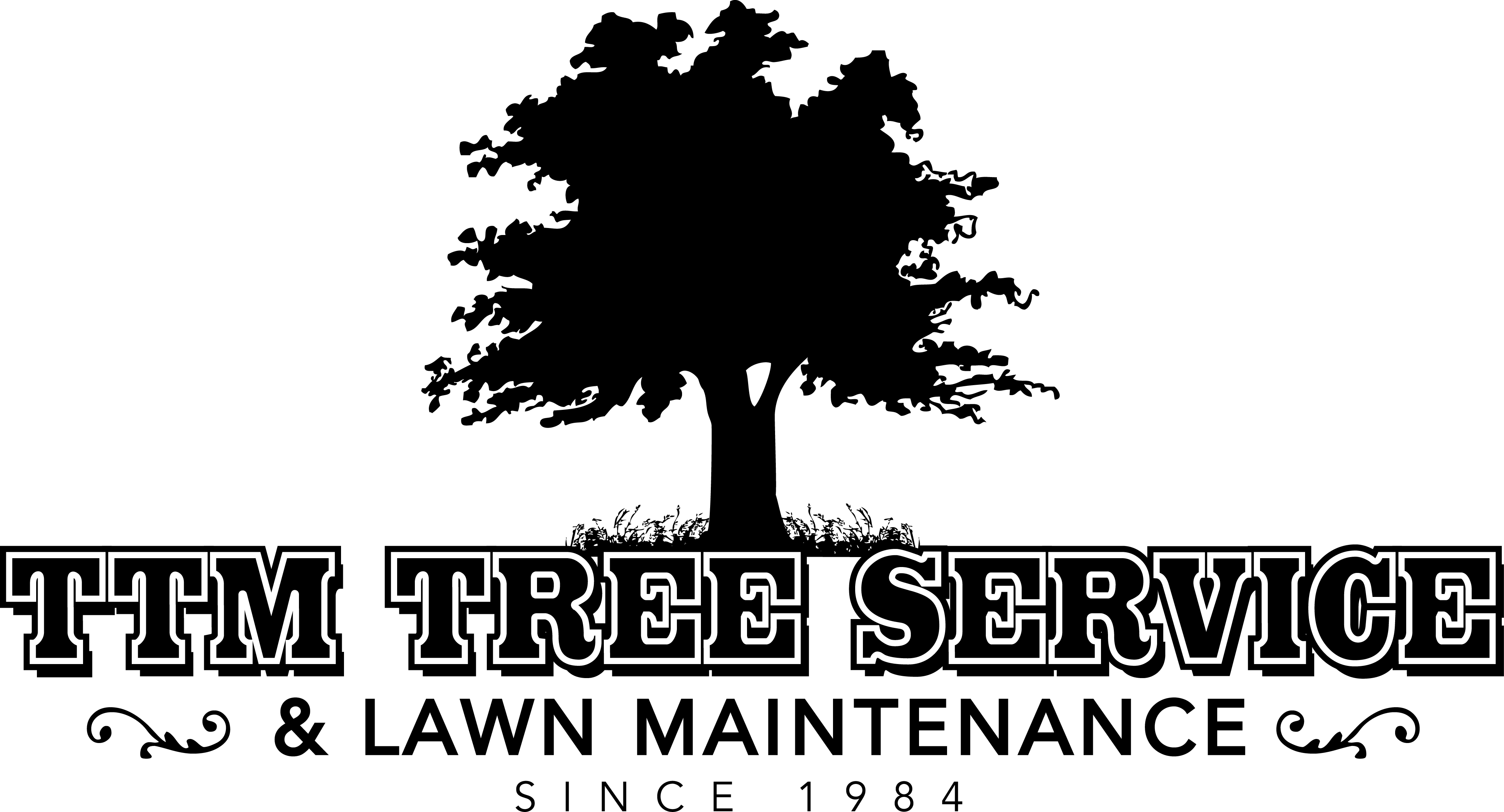 TTM Tree Service & Lawn Maintenance Reviews Burleson, TX Angi