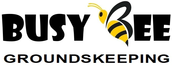 Avatar for Busy Bee Groundskeeping