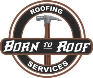 Avatar for Born to Roof