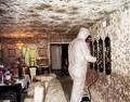 Cert. Mold Remediation