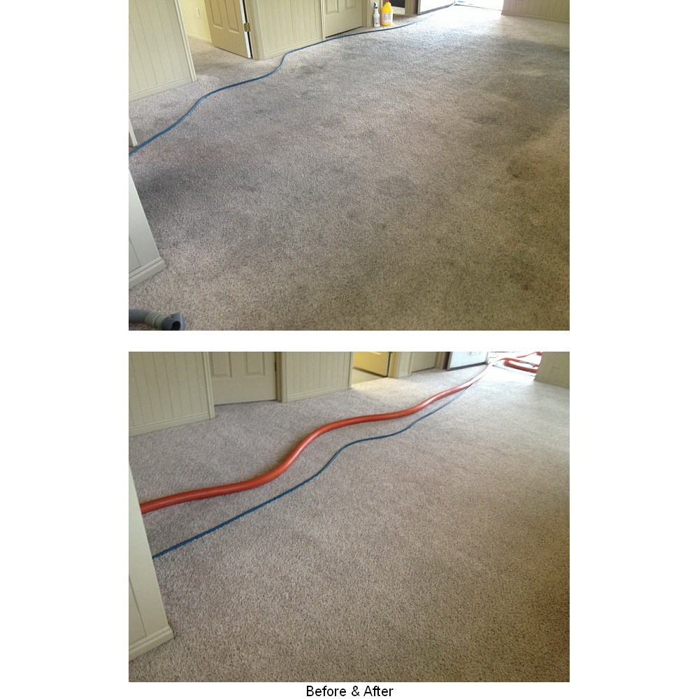 Avatar for AJS Carpet Cleaning Inc