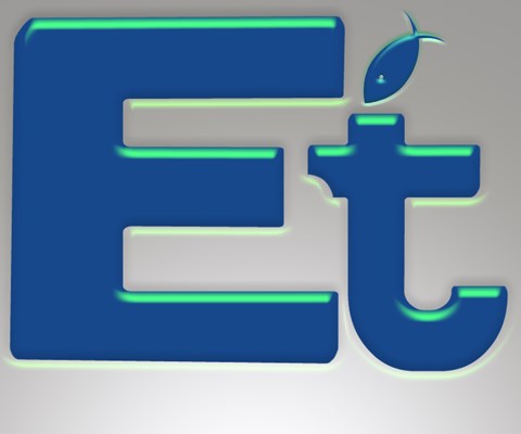 Everything I.T. logo
