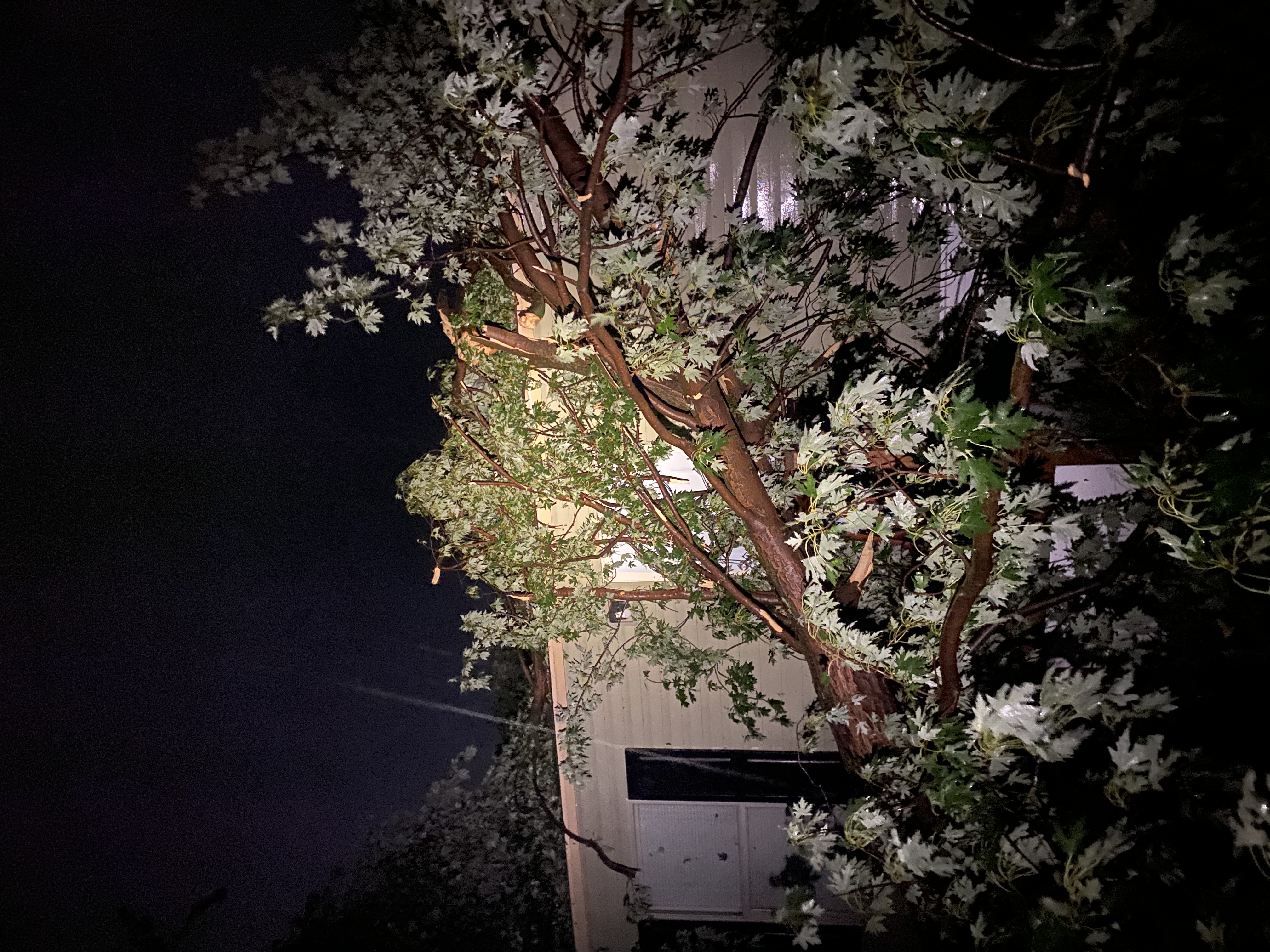 Avatar for MCGOWAN TREE LLC.