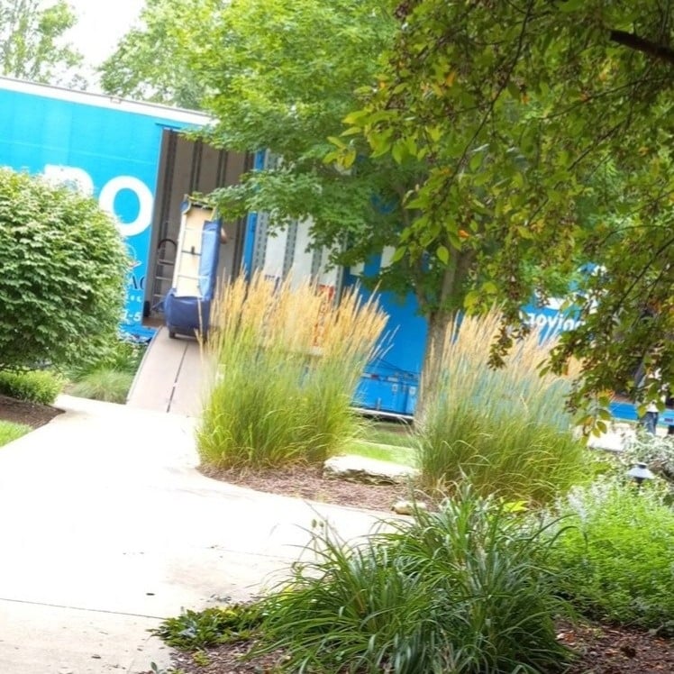 Avatar for Anonymous Move Movers 