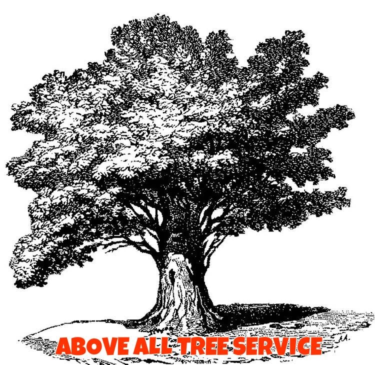 Logo for Above All Tree Service