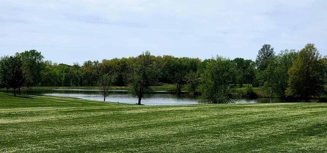 Avatar for Riley's Lawn & Landscape