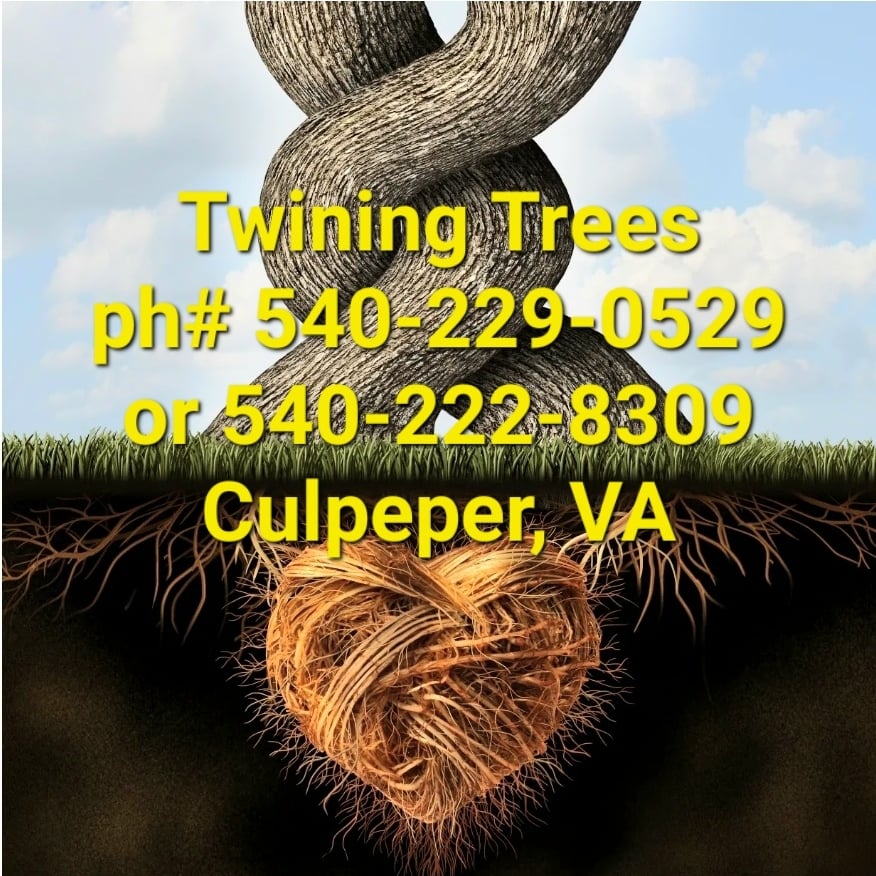 Avatar for Twining Trees