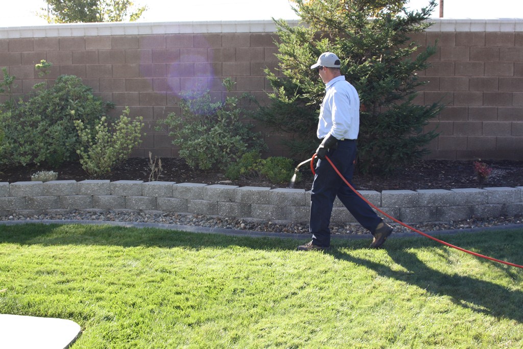 Jones Bros Pest Control Reviews Rancho Cordova, CA Angi