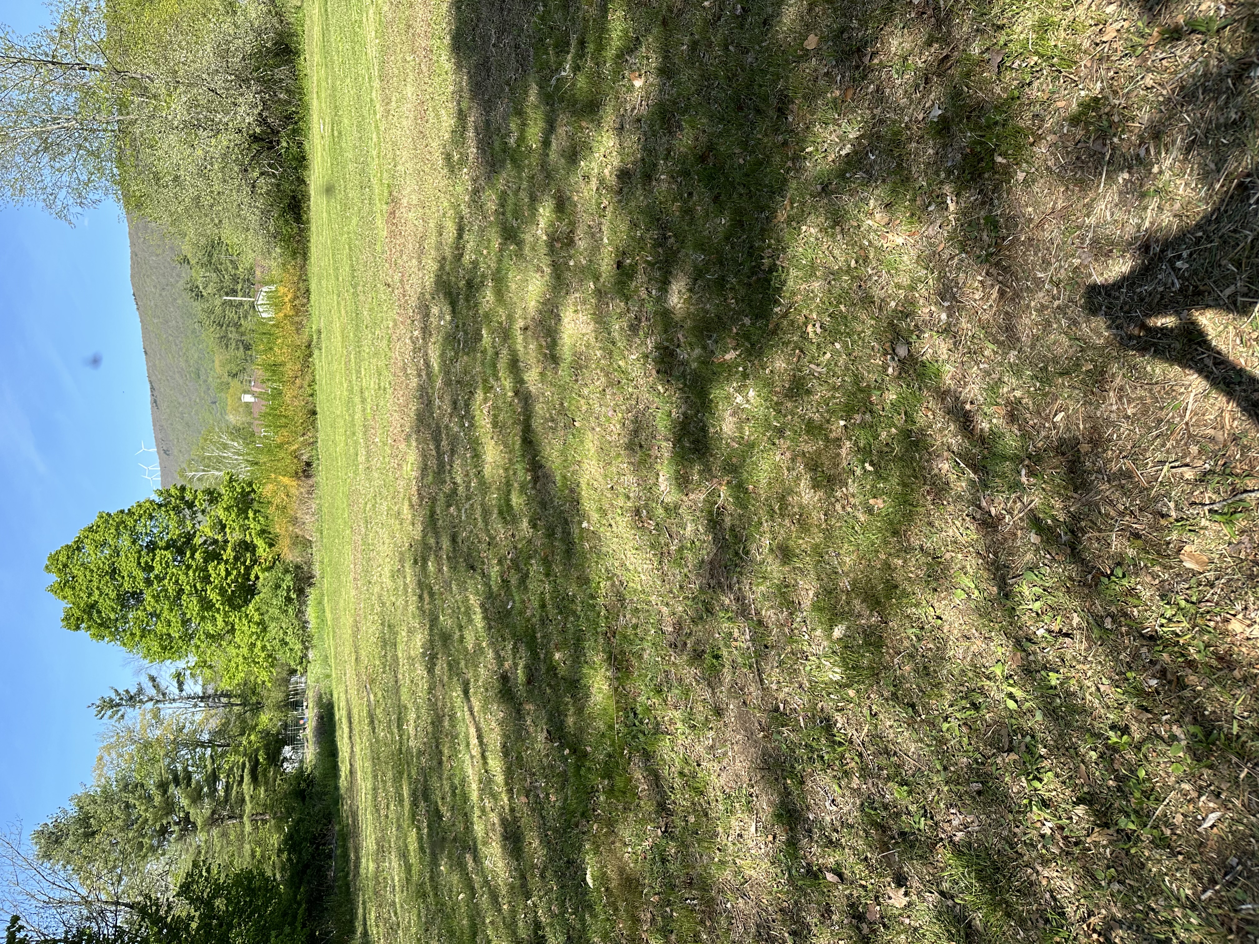 Avatar for Arthur Lemaire 