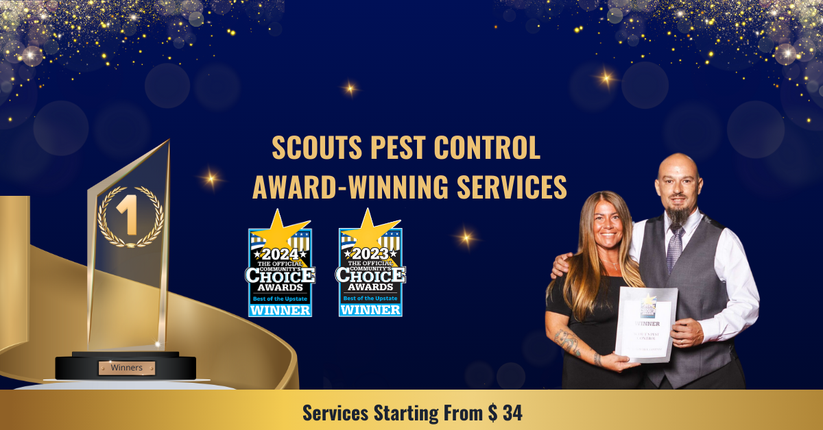 Avatar for Scouts Pest Control