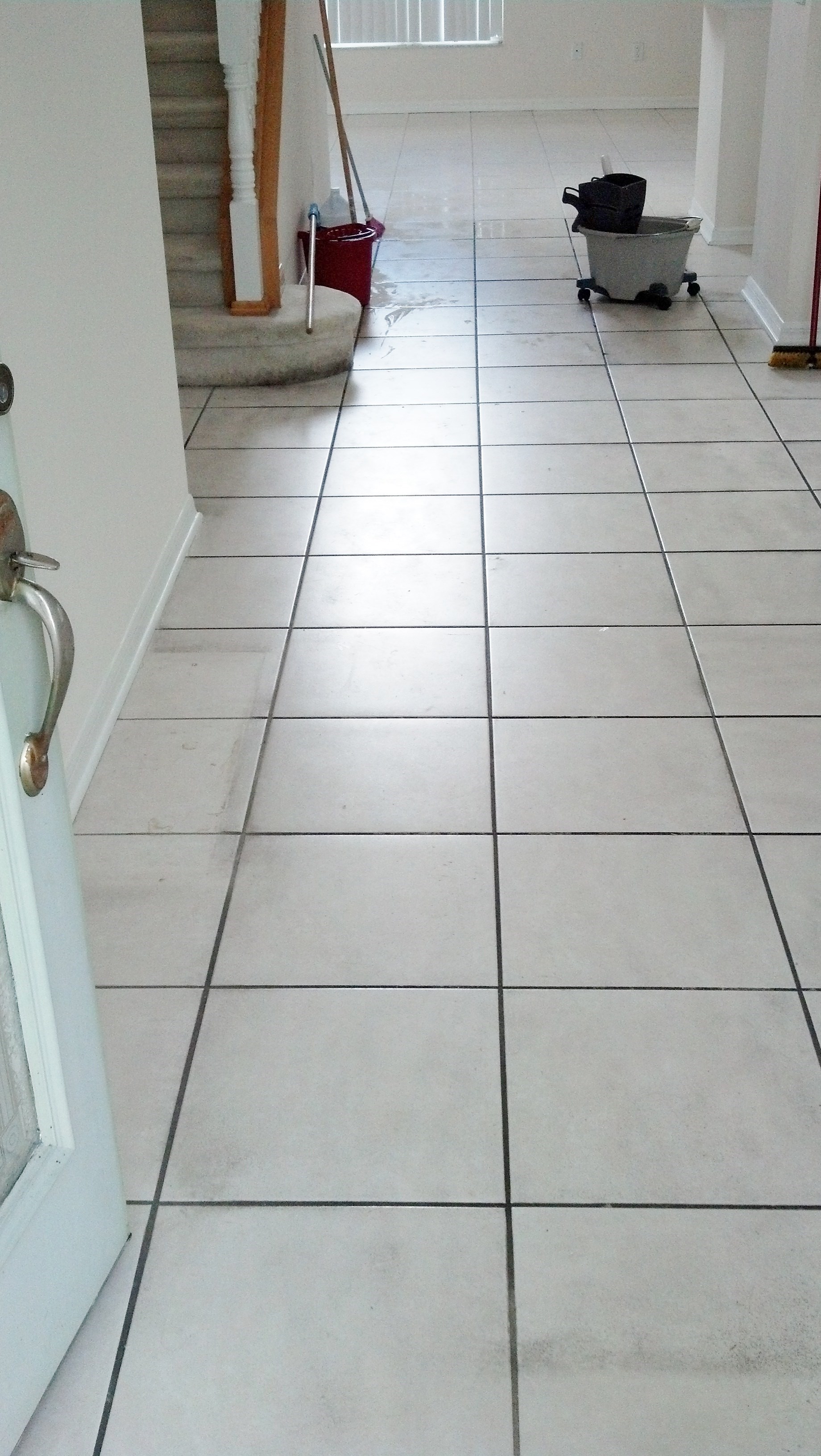 Avatar for Carpet Clinic