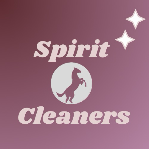 Avatar for Spirit Cleaners