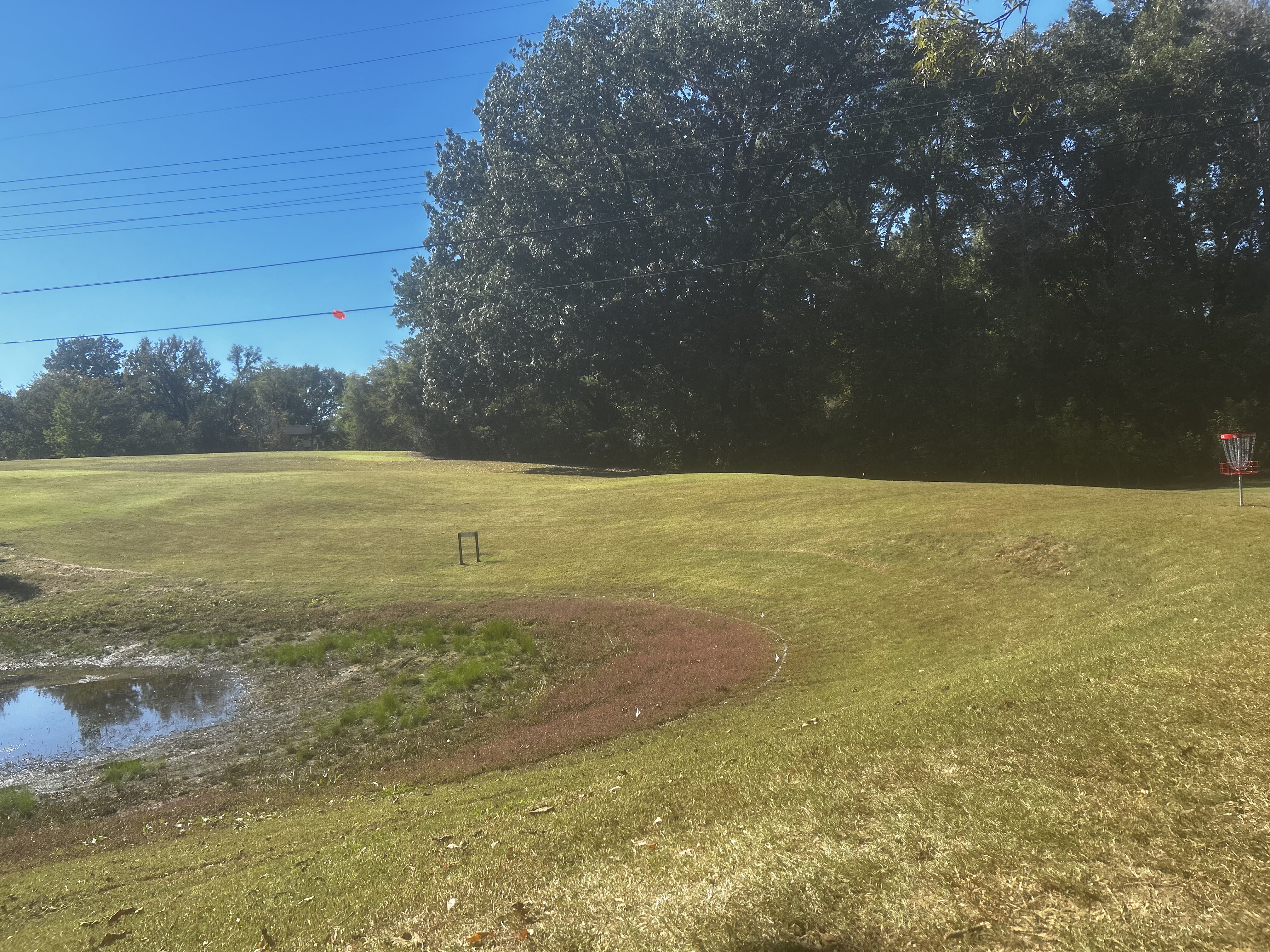 Avatar for Lomax MGMT