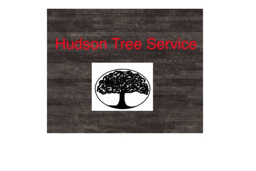 Logo for Hudson Tree Service