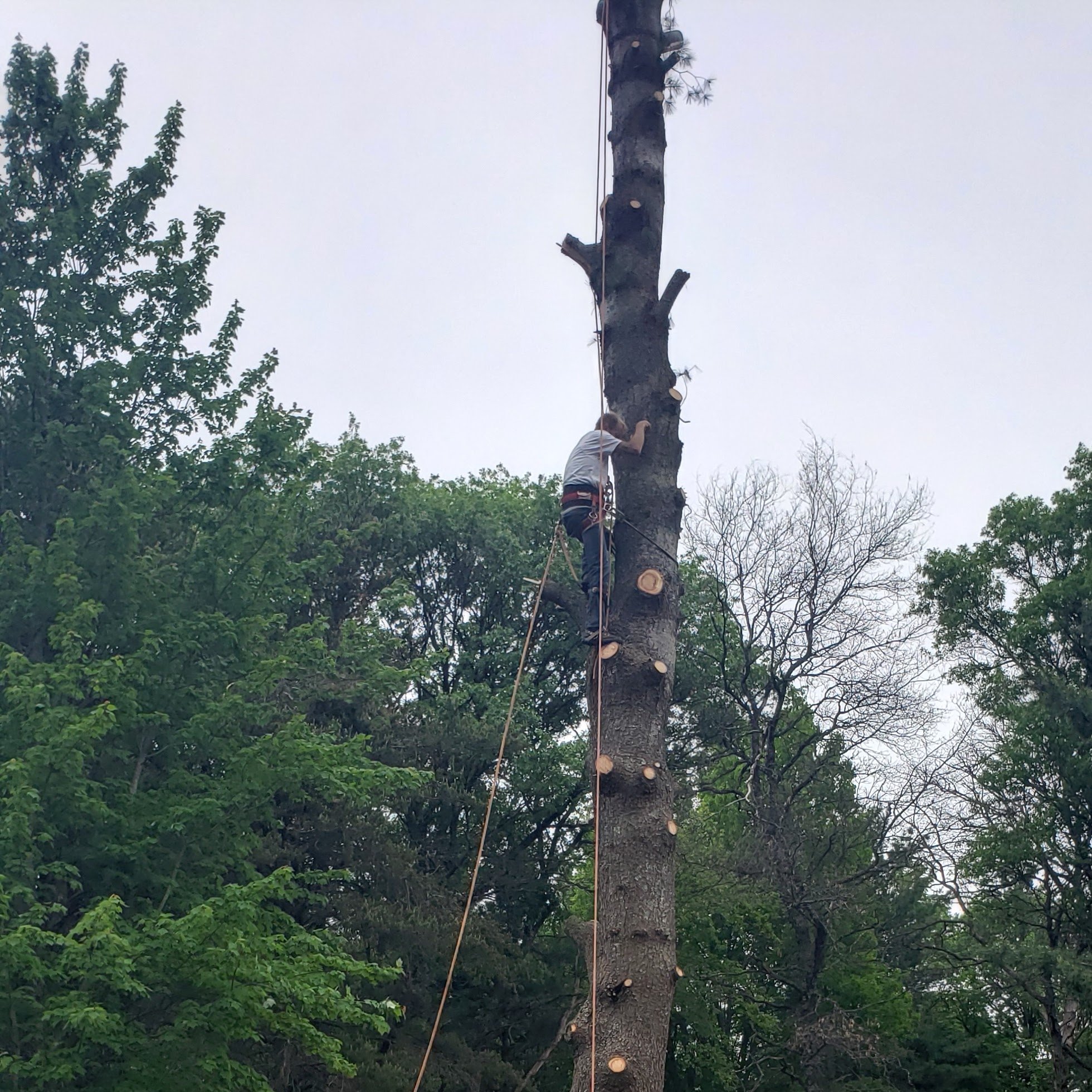 Avatar for One Stop Service