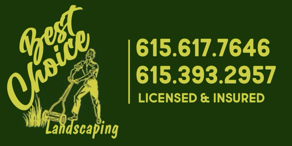 Avatar for Best Choice Landscaping