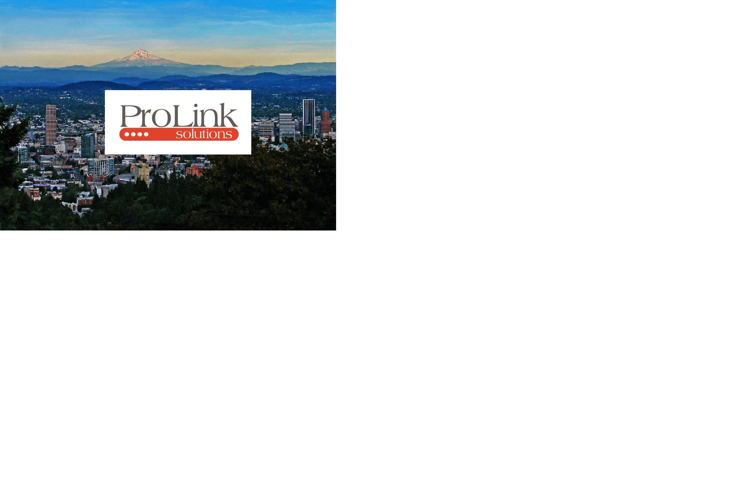 Avatar for ProLink Solutions Inc