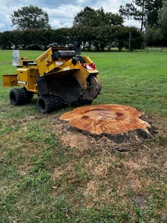 Avatar for Lightning Bolt Stump Grinding, LLC